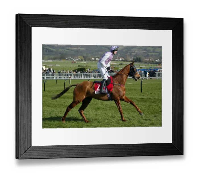 Framed Print : Brother Joe Framed Print : Brother Joe