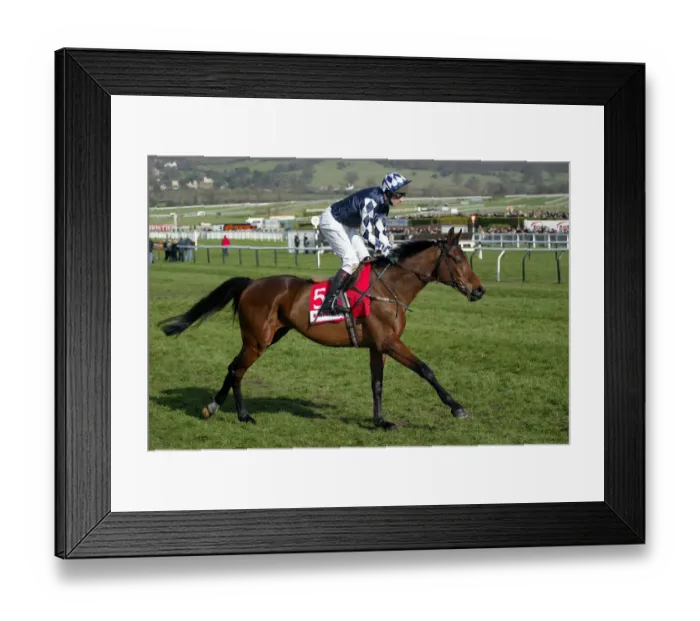 Framed Print : Deanos Beeno Framed Print : Deanos Beeno