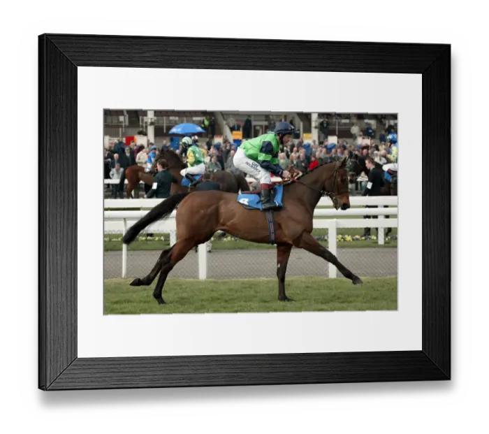 Framed Print : Tesio Ridden By T.Quinn Doncaster Lincoln Meeting 2003 Doncaster Racecourse Framed Print : Tesio Ridden By T.Quinn Doncaster Lincoln Meeting 2003 Doncaster Racecourse