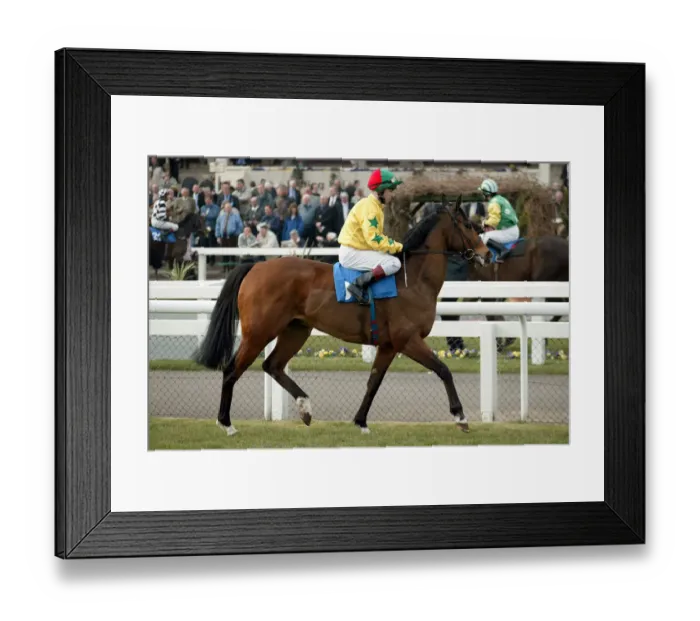 Framed Print : Indian Spark
