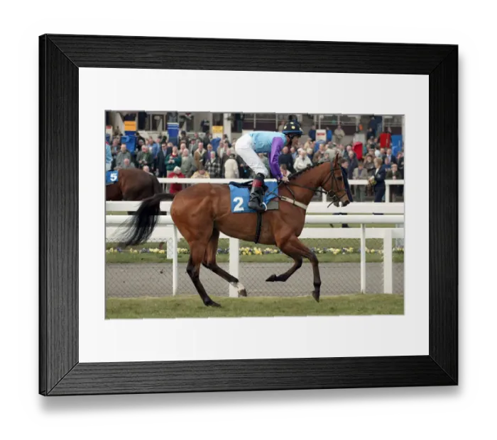 Framed Print : Fromsong Ridden By S.Drowne Doncaster Lincoln Meeting 2003 Doncaster Racecourse Framed Print : Fromsong Ridden By S.Drowne Doncaster Lincoln Meeting 2003 Doncaster Racecourse