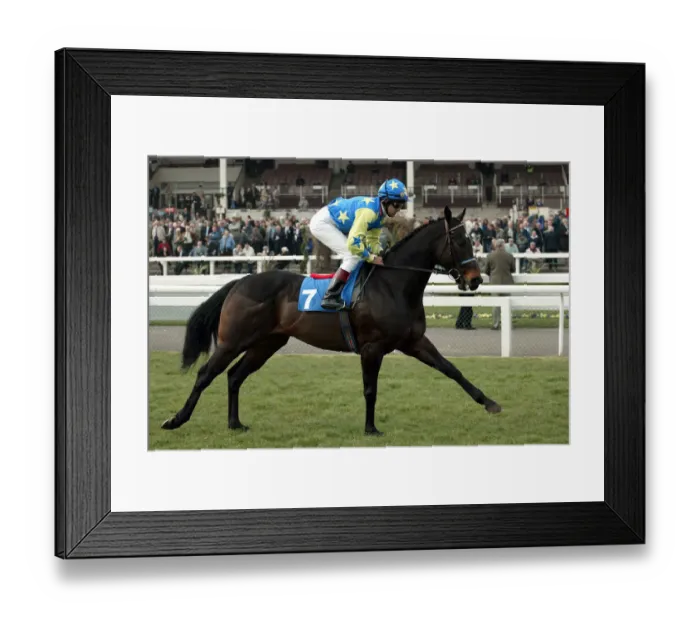 Framed Print : Now Look Here Framed Print : Now Look Here