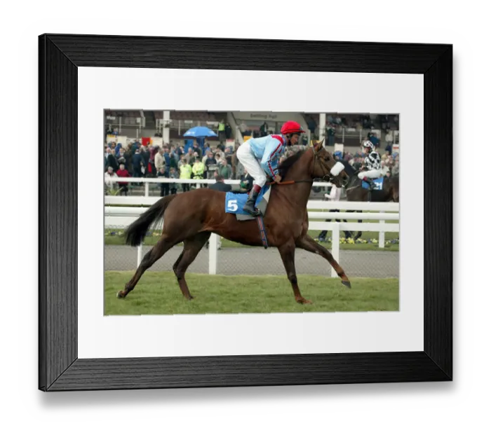 Framed Print : Seven No Trumps Framed Print : Seven No Trumps