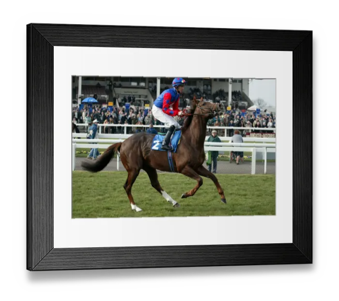 Framed Print : Reel Buddy Framed Print : Reel Buddy