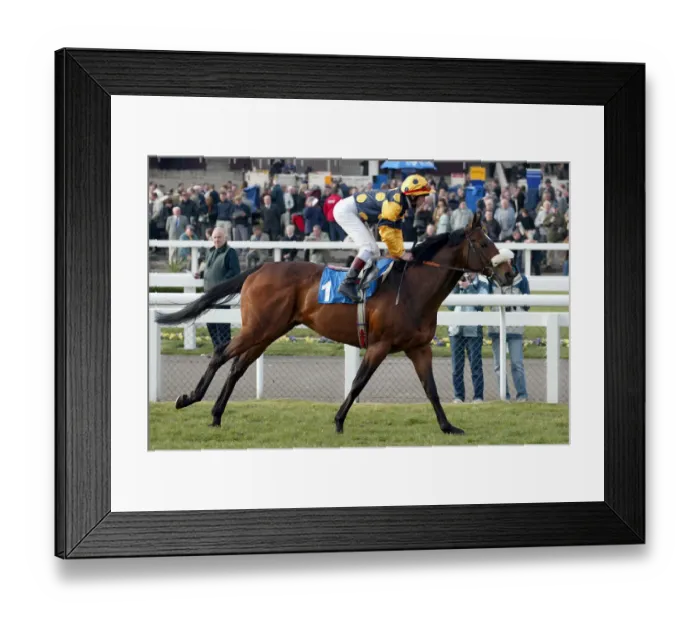 Framed Print : Atavus Ridden By J.Mackay Doncaster Lincoln Meeting 2003 Doncaster Racecourse Framed Print : Atavus Ridden By J.Mackay Doncaster Lincoln Meeting 2003 Doncaster Racecourse