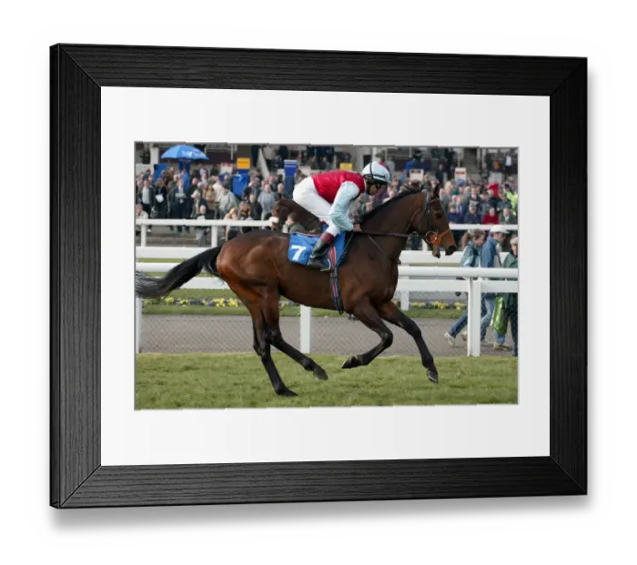 Framed Print : Wannabe Around Framed Print : Wannabe Around