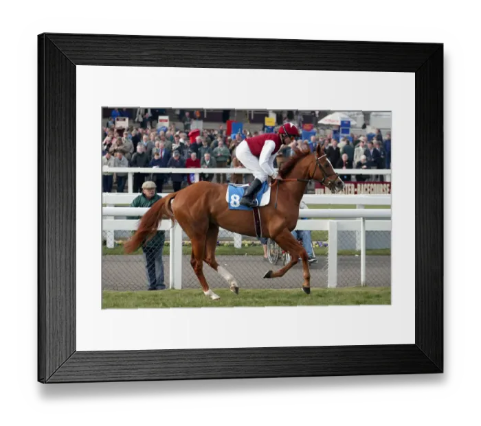 Framed Print : With Reason Framed Print : With Reason