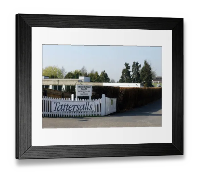 Framed Print : Tattersalls Framed Print : Tattersalls