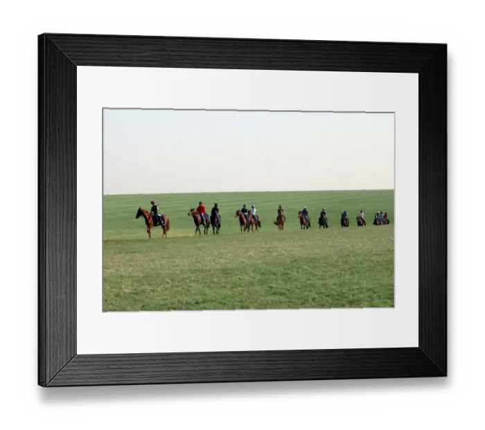 Framed Print : Newmarket Gallops