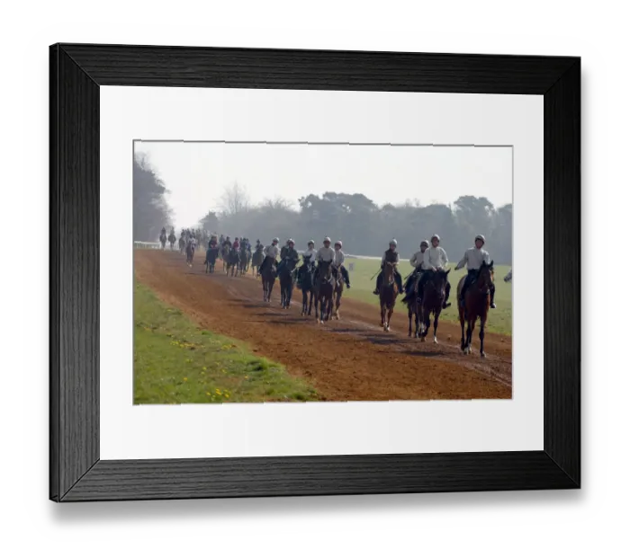 Framed Print : Newmarket Gallops Framed Print : Newmarket Gallops