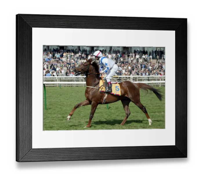 Framed Print : Our Teddy Ridden By J.Mackay Newmarket Craven Meeting 2003 Newmarket