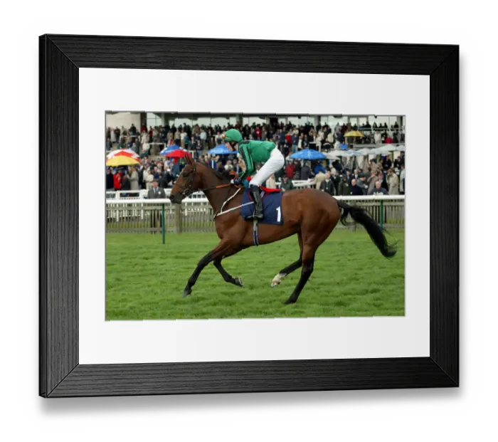 Framed Print : Dellsarte Ridden By K.Dalgleish The Sagitta Guineas Festival 2 Newmarket Racecourse Framed Print : Dellsarte Ridden By K.Dalgleish The Sagitta Guineas Festival 2 Newmarket Racecourse