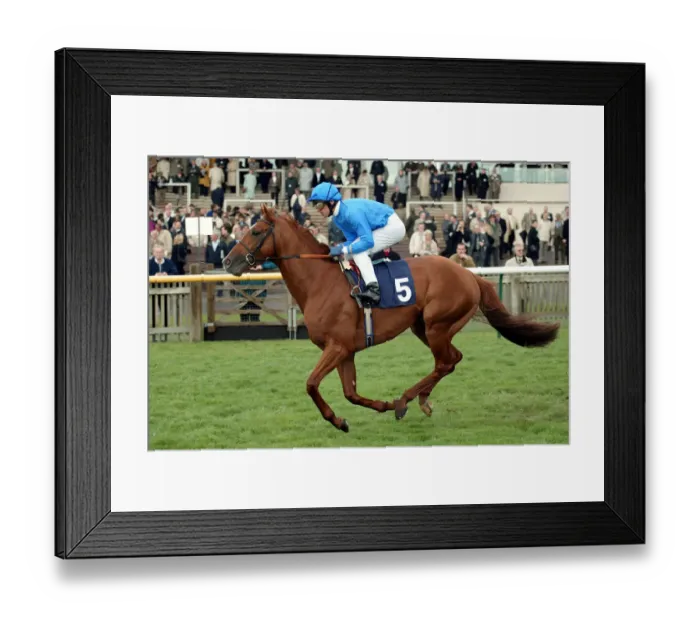Framed Print : Wilful Ridden By L.Dettori The Sagitta Guineas Festival 2 Newmarket Racecourse Framed Print : Wilful Ridden By L.Dettori The Sagitta Guineas Festival 2 Newmarket Racecourse