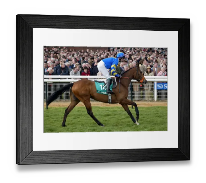 Framed Print : Sacundai Ridden By Tony Dobin Cheltenham Festival Cheltenham Racecourse Framed Print : Sacundai Ridden By Tony Dobin Cheltenham Festival Cheltenham Racecourse