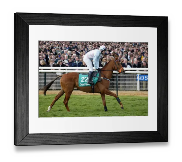 Framed Print : Three Lions Framed Print : Three Lions
