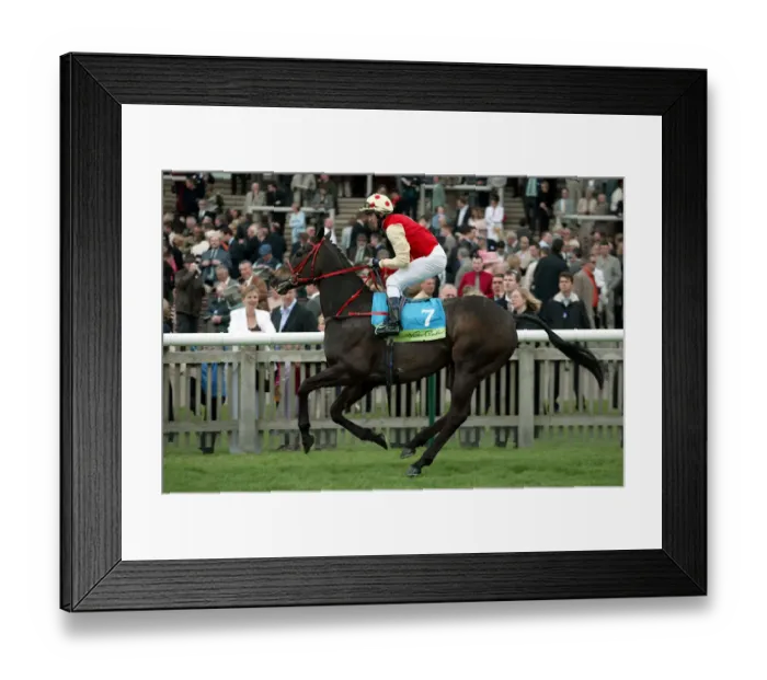 Framed Print : Repertory Ridden By T.G.Mclaughlin The Sagitta Guineas Festival 2 Newmarket Racecourse Framed Print : Repertory Ridden By T.G.Mclaughlin The Sagitta Guineas Festival 2 Newmarket Racecourse