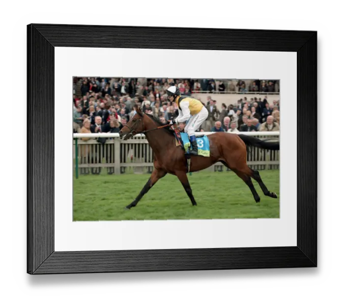 Framed Print : Kier Park Ridden By P.Robinson The Sagitta Guineas Festival 2 Newmarket Racecourse Framed Print : Kier Park Ridden By P.Robinson The Sagitta Guineas Festival 2 Newmarket Racecourse