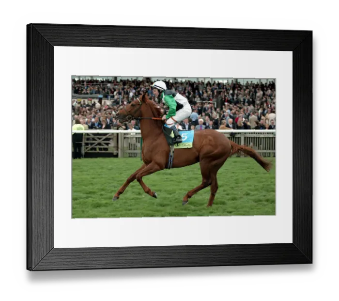 Framed Print : Needwood Blade Framed Print : Needwood Blade