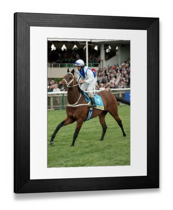 Framed Print : Aramus Ridden By D.Sanchez The Sagitta Guineas Festival 2 Newmarket Racecourse Framed Print : Aramus Ridden By D.Sanchez The Sagitta Guineas Festival 2 Newmarket Racecourse