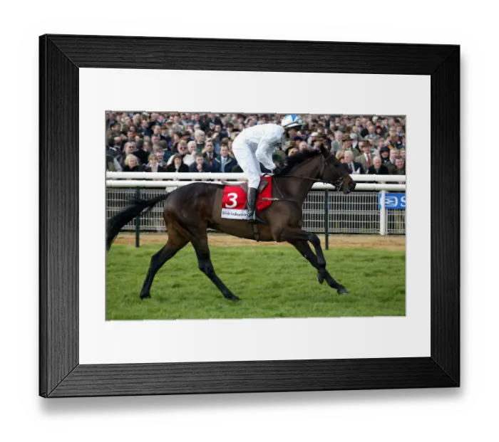 Framed Print : Bernardon Ridden By Richard Guest Cheltenham Festival Cheltenham Racecourse Framed Print : Bernardon Ridden By Richard Guest Cheltenham Festival Cheltenham Racecourse
