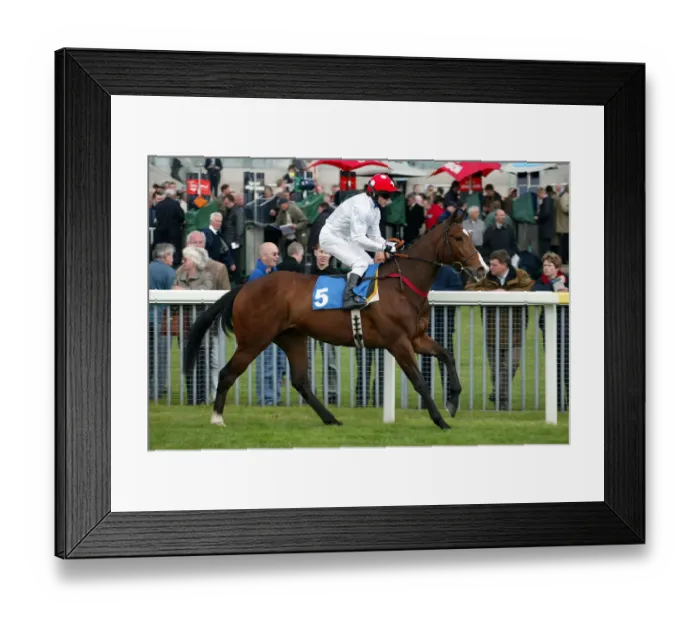 Framed Print : Camille Pissarro Framed Print : Camille Pissarro