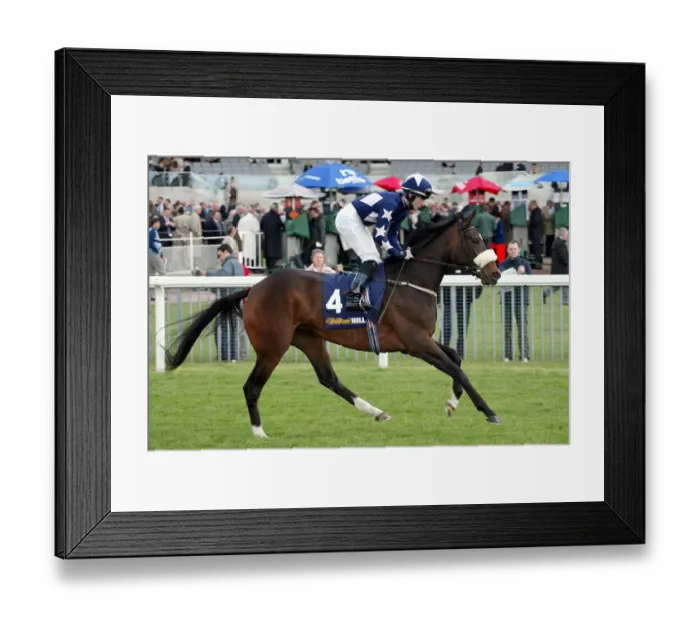 Framed Print : Miss Mirasol Framed Print : Miss Mirasol
