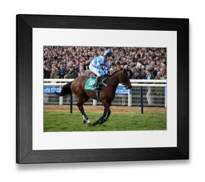 Framed Print : Hitman Ridden By B.Fenton Cheltenham Festival Cheltenham Racecourse