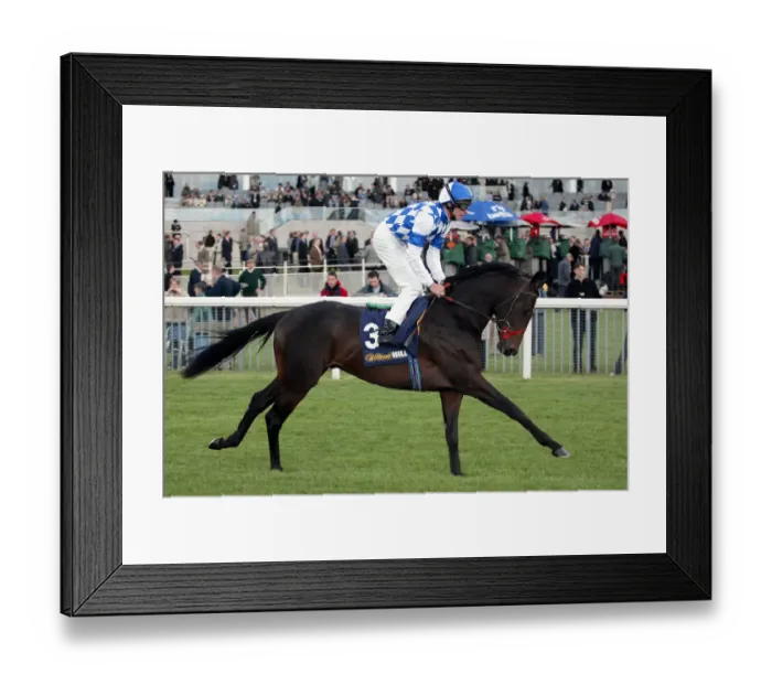Framed Print : Aversham Ridden By R.Hughes York Racecourse May Meeting 20 York Racecourse Framed Print : Aversham Ridden By R.Hughes York Racecourse May Meeting 20 York Racecourse