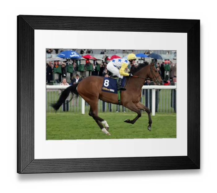 Framed Print : Bigalothgigalo Framed Print : Bigalothgigalo