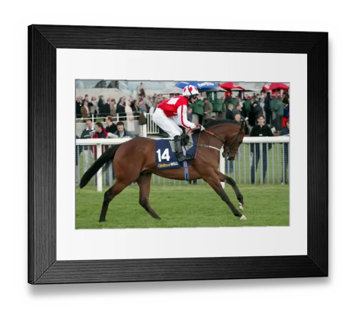 Framed Print : Young Mr Grace Framed Print : Young Mr Grace