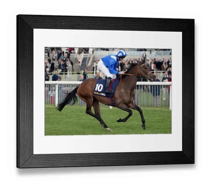Framed Print : Aljazeera Ridden By W.Supple York Racecourse May Meeting 20 York Racecourse Framed Print : Aljazeera Ridden By W.Supple York Racecourse May Meeting 20 York Racecourse
