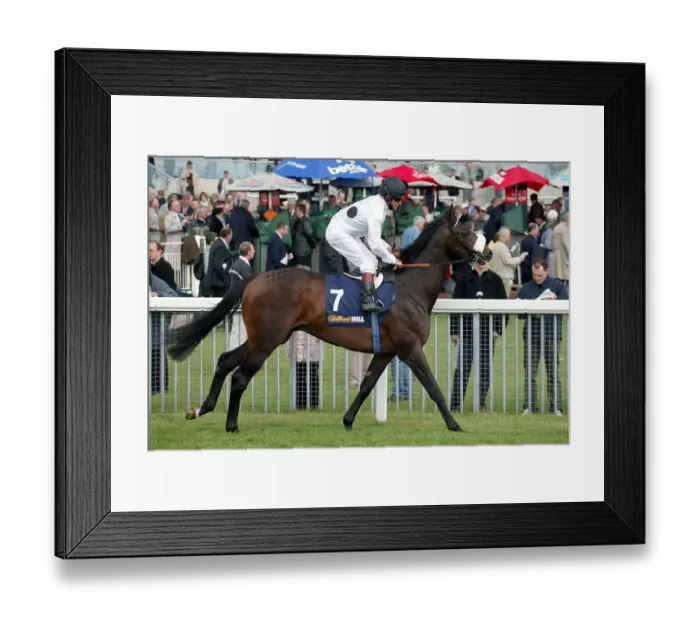 Framed Print : New Seeker Framed Print : New Seeker