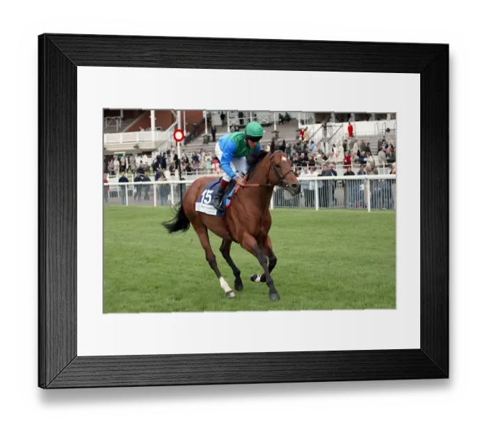 Framed Print : Vision Of Night Framed Print : Vision Of Night