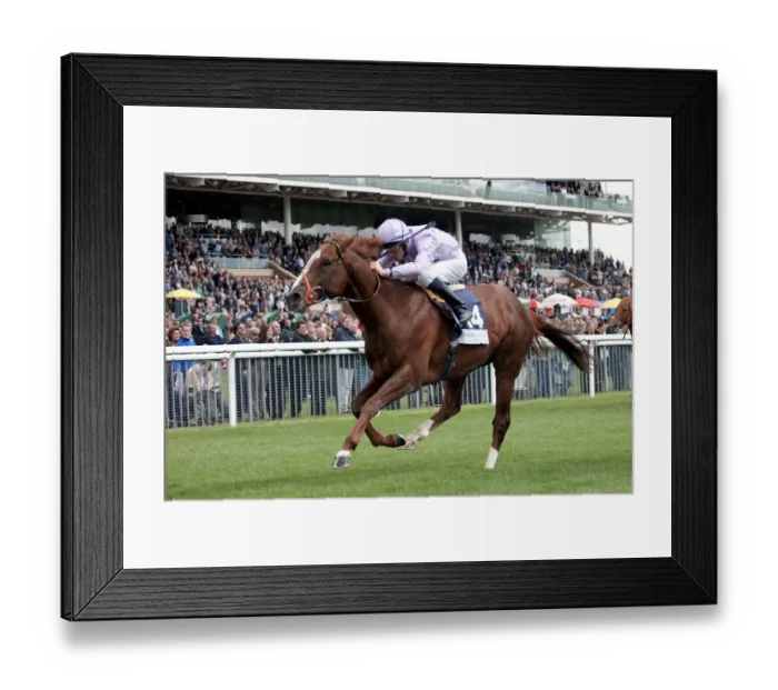 Framed Print : Twilight Blues Wins The Duke Of York Hearthstead Homes Stake Framed Print : Twilight Blues Wins The Duke Of York Hearthstead Homes Stake