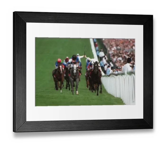 Framed Print : Benny The Dip, Silver Patriarch Framed Print : Benny The Dip, Silver Patriarch