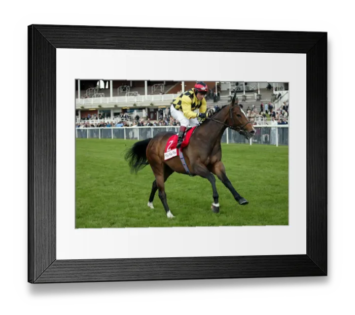 Framed Print : Bali Royal Framed Print : Bali Royal