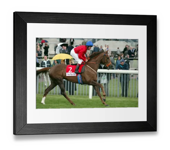 Framed Print : Chorist Ridden By Pat Eddery York Racecourse May Meeting 20 York Racecourse Framed Print : Chorist Ridden By Pat Eddery York Racecourse May Meeting 20 York Racecourse