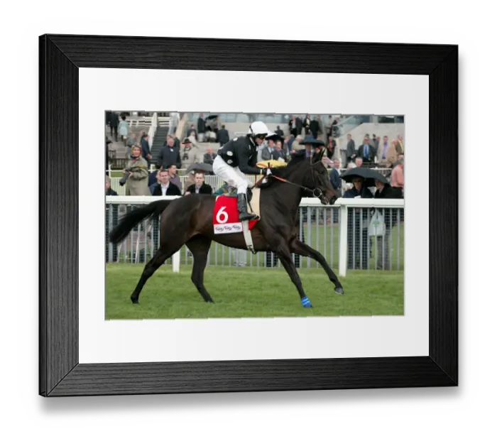 Framed Print : Zee Zee Top Framed Print : Zee Zee Top