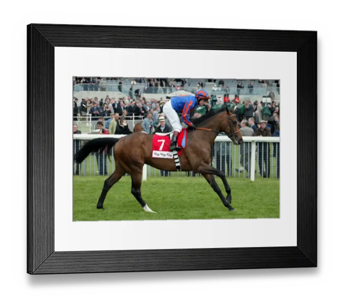 Framed Print : Magistretti Framed Print : Magistretti