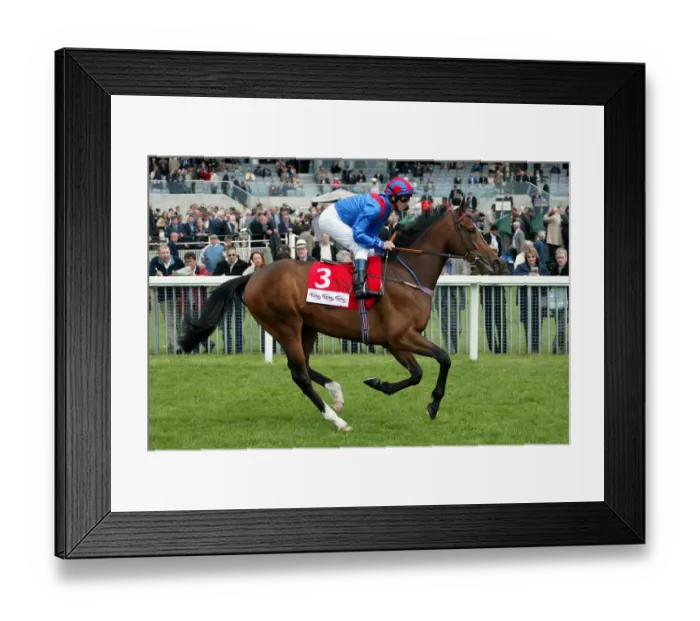 Framed Print : Dunhill Star Framed Print : Dunhill Star