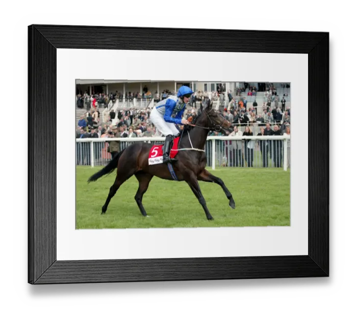 Framed Print : Helm Bank Ridden By K.Dalgleish York Racecourse May Meeting 20 York Racecourse