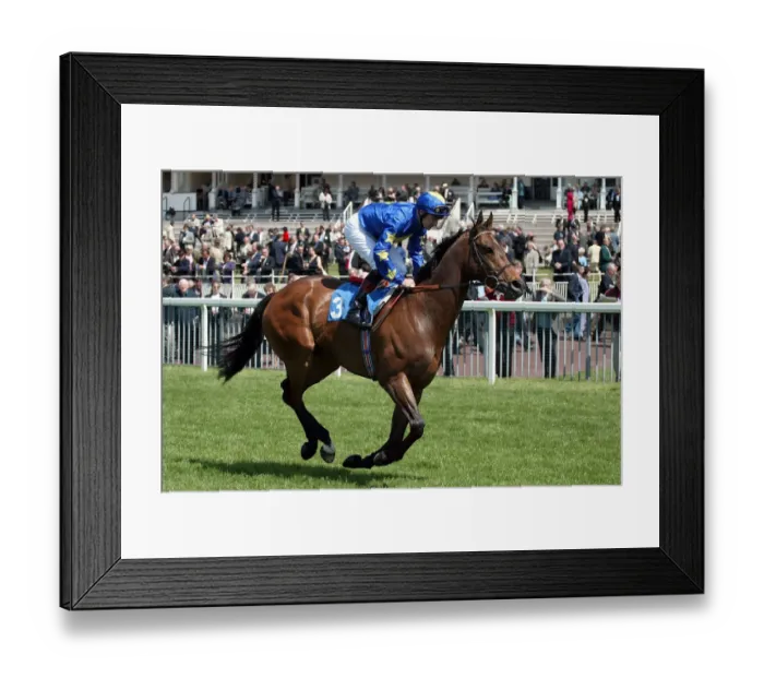 Framed Print : Border Subject Framed Print : Border Subject