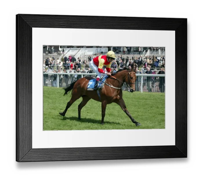 Framed Print : Fayr Jag Ridden By R.Winston York Racecourse May Meeting 20 York Racecourse Framed Print : Fayr Jag Ridden By R.Winston York Racecourse May Meeting 20 York Racecourse