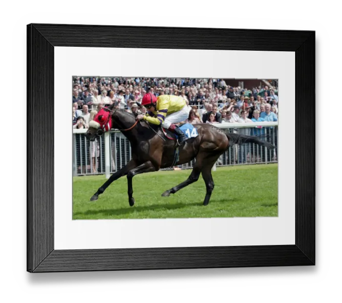 Framed Print : Connect Ridden By T.Durcan York Racecourse York, England 13 June 2003 Date: 13 June 2003 Framed Print : Connect Ridden By T.Durcan York Racecourse York, England 13 June 2003 Date: 13 June 2003