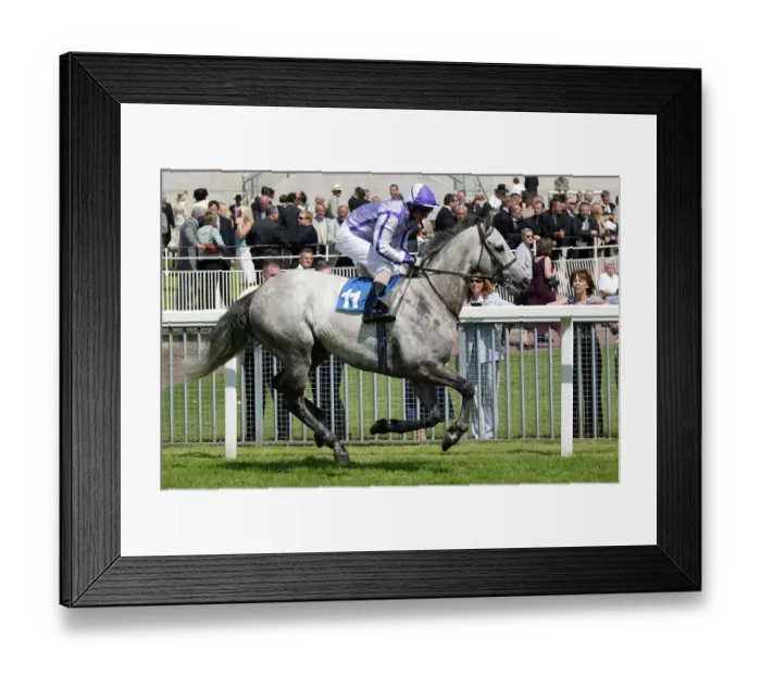 Framed Print : Grey Cassack Framed Print : Grey Cassack