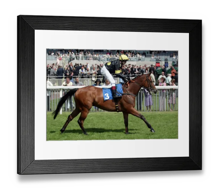 Framed Print : Bond Boy Ridden By R.Winston York Racecourse York, England 13 June 2003 Date: 13 June 2003 Framed Print : Bond Boy Ridden By R.Winston York Racecourse York, England 13 June 2003 Date: 13 June 2003