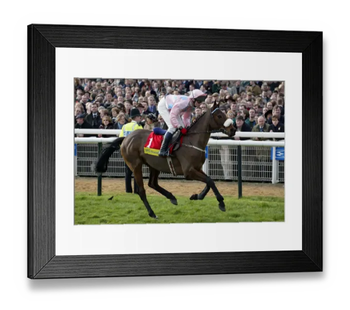 Framed Print : Ansar Ridden By P.Carberry Cheltenham Festival Cheltenham Racecourse