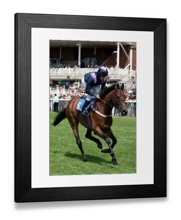 Framed Print : Athenian Ridden By N.Callan York Races York Racecousre, York, England 14 June 2003 Date Framed Print : Athenian Ridden By N.Callan York Races York Racecousre, York, England 14 June 2003 Date