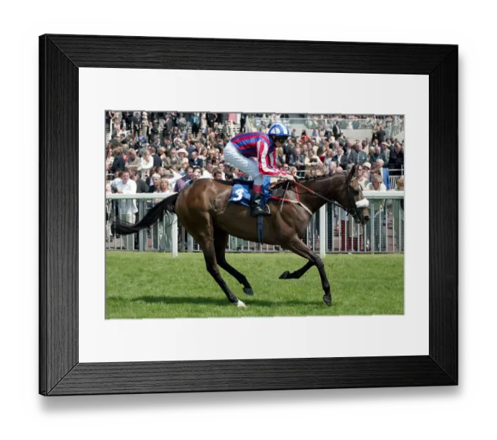 Framed Print : Cats Whiskers Framed Print : Cats Whiskers