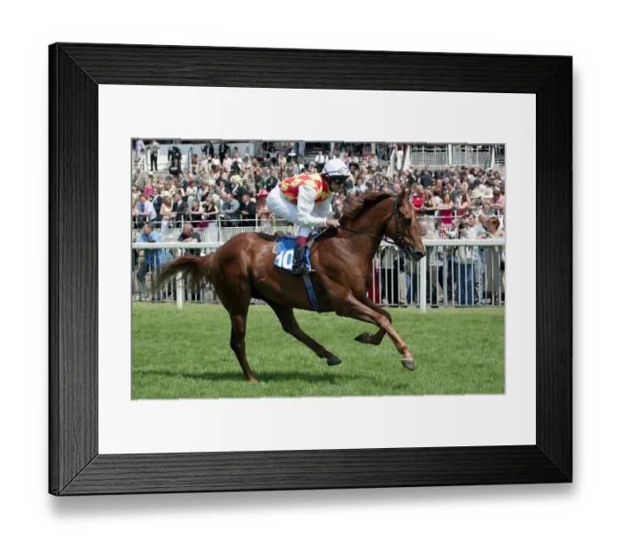 Framed Print : Mister Sweets Framed Print : Mister Sweets